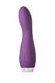 Flirts G-Spot Vibrator