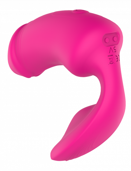 Dreamtoys Remote Duo Pleaser Roze