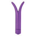 The Champion Mini Vibrator Paars