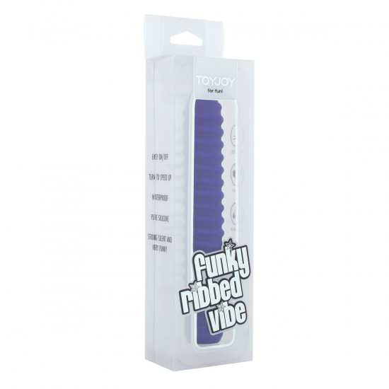 Funky Ribbed Vibe Vibrator Purple
