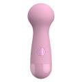 Cute Cara Small Wand Massager Roze