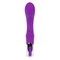 Embrace G-Wand Vibrator Paars