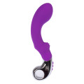 Embrace G-Wand Vibrator Paars