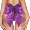 Ouch! Sexy Bow Vibrating Panty Paars