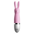 Crush Snuggle Bunny Mini Vibrator Roze