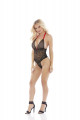 Barely Bare V Plunge Lace & Mesh Body
