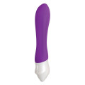 Evolved Heroine Vibrator Paars